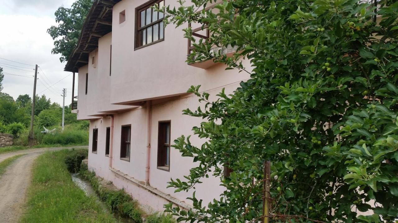 Elmas Pansiyon Karacasu  Екстериор снимка